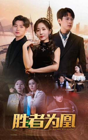 胜者为凰（89集）热门短剧推荐