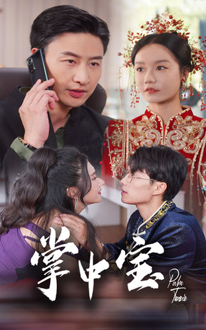 掌中宝（31集）评价怎么样