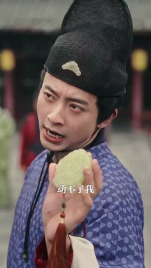 精忠报国（41集）每日短剧分享