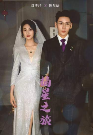 摘星之旅（88集）精彩短剧天天看