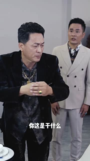 龙城飞将（85集）高质量短剧推荐