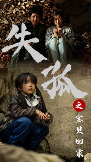 失孤之宝贝回家（71集）免费在线看全集