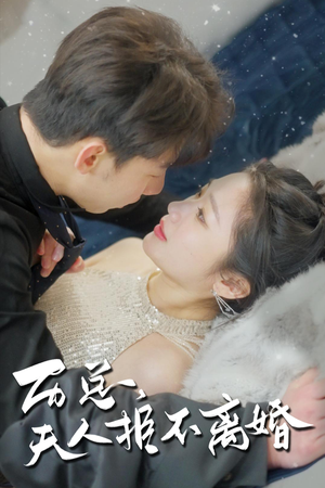 历总，夫人拒不离婚（61集）短剧精彩绝伦