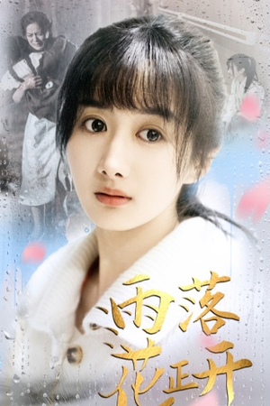 雨落花正开（62集）超爽短剧推荐