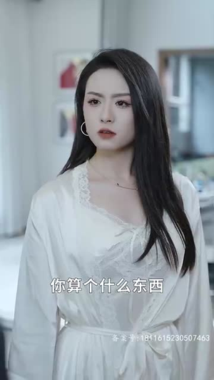 飞黄腾达（74集）全集一网打尽