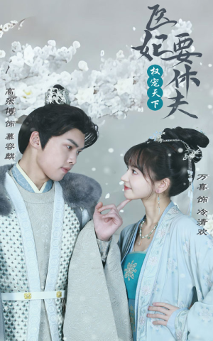 权宠天下：医妃要休夫（94集）好看的短剧电影
