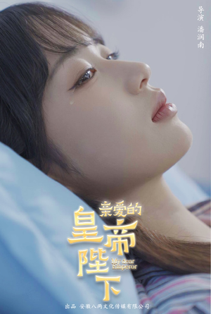 亲爱的皇帝陛下（81集）热门短剧在线看