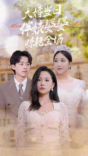 大婚当日伴娘婆婆惊艳全场（30集）短剧上头又好看