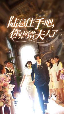 陆总住手吧，你虐错夫人了（80集）百度网盘在线看