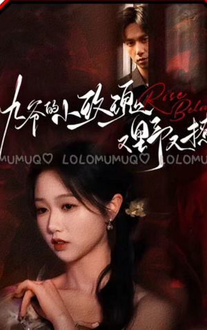 九爷的小玫瑰又野又撩（100集）免费短剧全集看