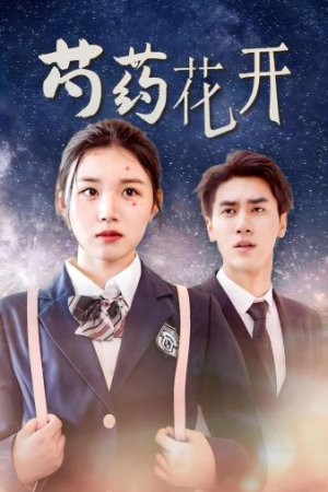 芍药花开(77集) 芍药花开(77集)短剧免费看全集