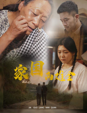 家国两难全（62集）免费短剧推荐