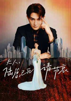 夫人，陆总已死请节哀（95集）热播古装短剧