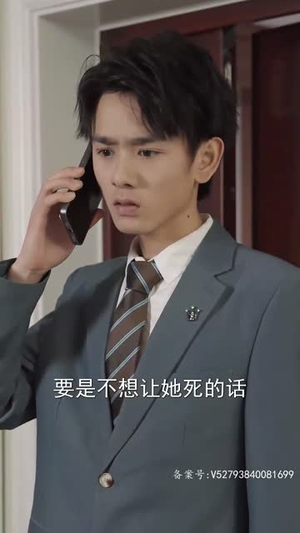 我成了段总的腹黑女保镖（67集）高清画质免费看