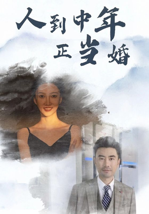 人到中年正当婚（81集）最热短剧推荐