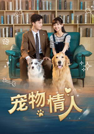宠物情人（42集）在线观看完整版