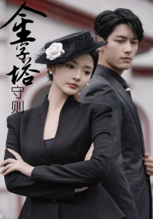 金字塔守则（66集）短剧有好货推荐