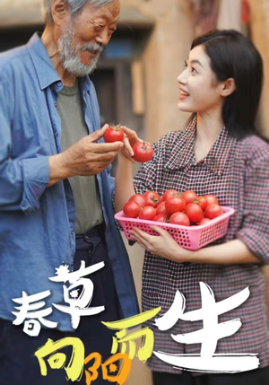 春草向阳而生（53集）评价怎么样