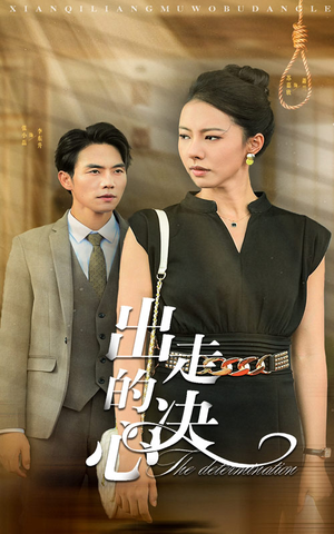 出走的决心（29集）解说