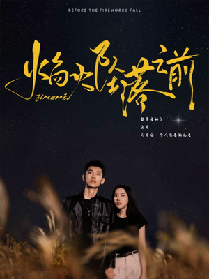 焰火坠落之前（99集）精彩短剧免费看