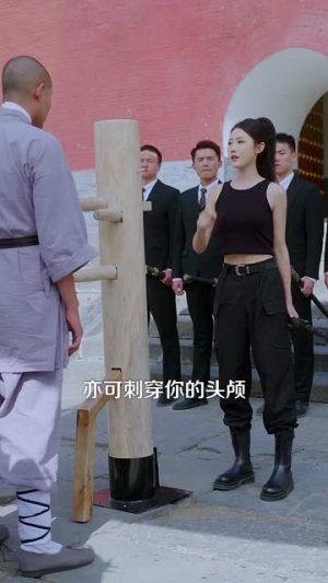 天下嵩山（29集）短剧介绍