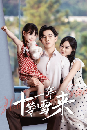 十一年等雪来（50集）全剧免费观看