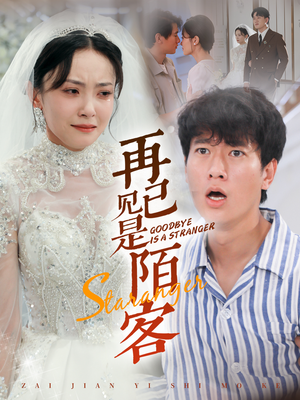 再见已是陌客（55集）热门短剧推广