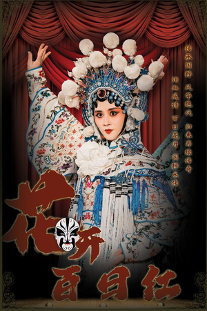 花开百日红（30集）短剧小说在线看