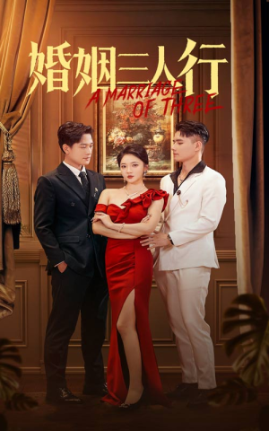 婚姻三人行（31集）在线看免费版
