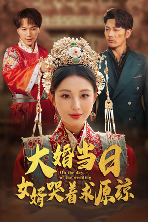 大婚当日，女婿哭着求原谅（31集）最新火爆短剧