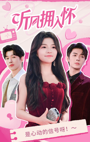 听风拥入怀（50集）热门短剧追不停