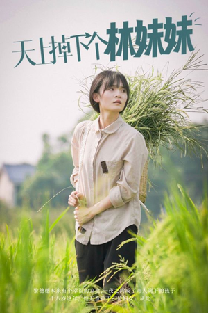 天上掉下个林妹妹（81集）爆款短剧追不停