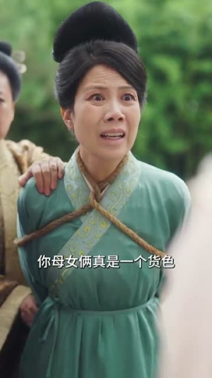 宫墙今夜有雪（84集）短剧小说在线看