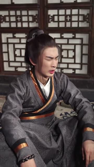 刺客（99集）热门短剧大全