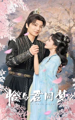 恰与君同梦（55集）经典老剧免费看