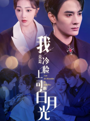我竟是冷脸上司的白月光（80集）在哪个平台看