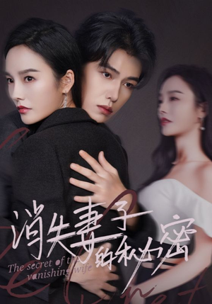 消失妻子的秘密（60）精彩好看短剧