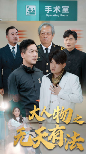 .新大人物之无天有法（35集）迅雷网盘观看