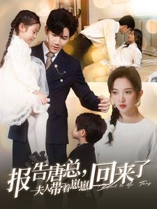 报告唐总夫人带着崽崽回来了（100集）哪个短剧网能看