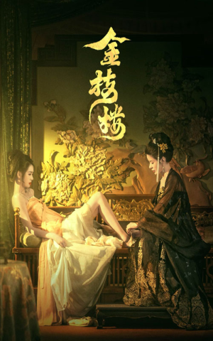 金枝楼（52集）常回家看看短剧