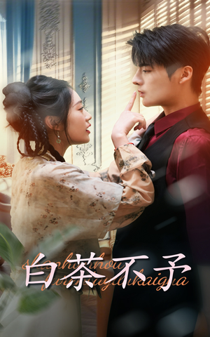 白茶不予（68集）好看又上头短剧