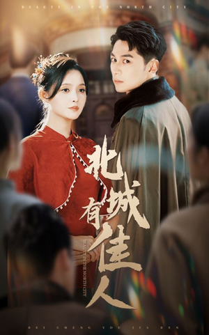 北城有佳人（59集）在线观看全集