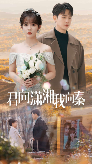 君向潇湘我向秦（30集）番茄免费短剧