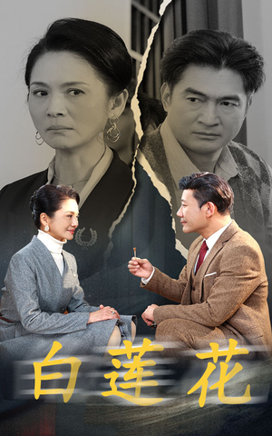 白莲花（40集）第一集