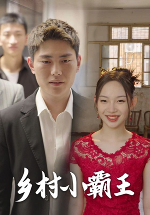 乡村小霸王（80集）1-102集