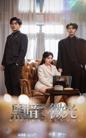 黑暗微光（66集）热播短剧分享