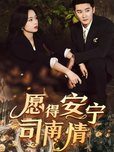 愿得安宁司南情（76集）好看短剧追不停