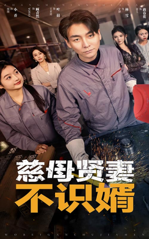 慈母贤妻不识婿(45集) 慈母贤妻不识婿(45集)精彩短剧分享