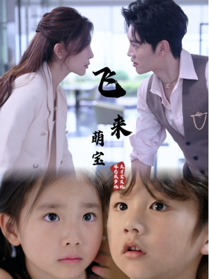 飞来萌宝（81集）观看软件