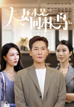 夫妻本是同林鸟（76集）每日分享短剧